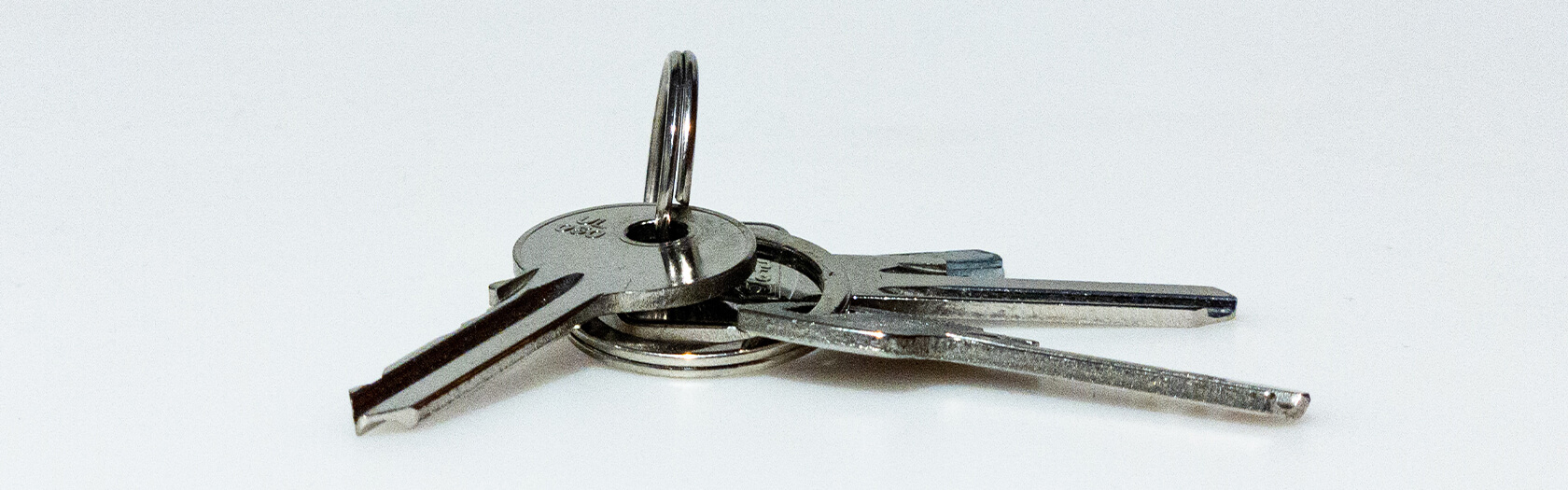 'Short Strap' Karabiner Schlüsselanhänger - Banner 