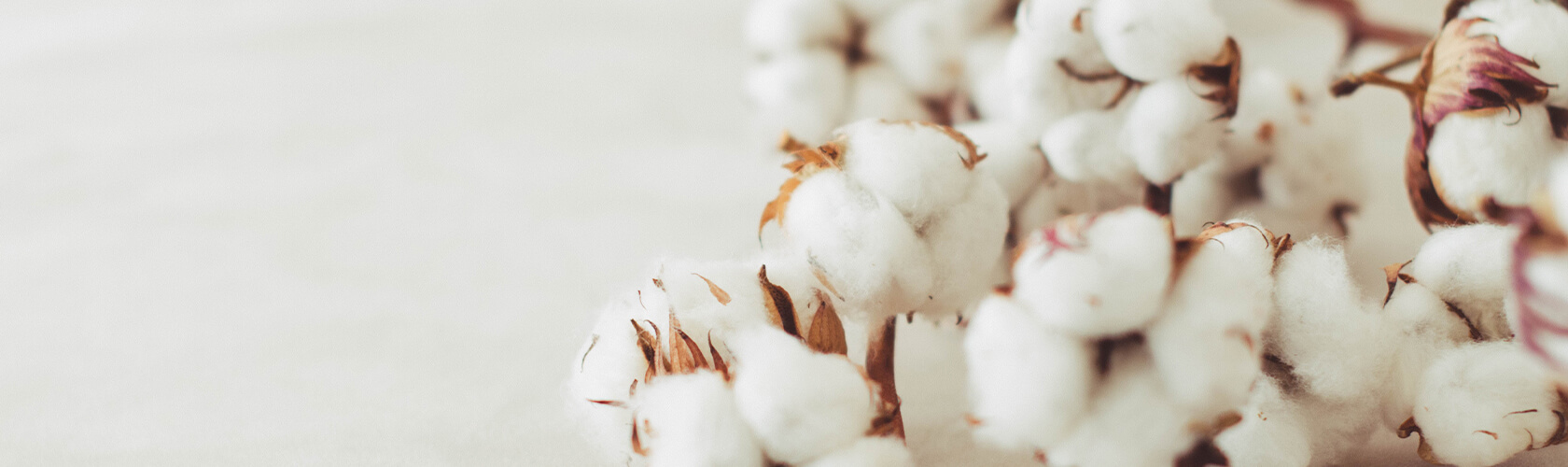 Hochwertige Recycling ♻️ Basecap Logo besticken - Banner 