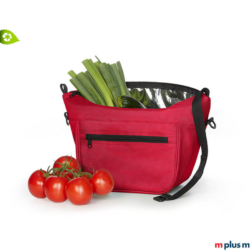 LunchBike Isolier Lenkertasche