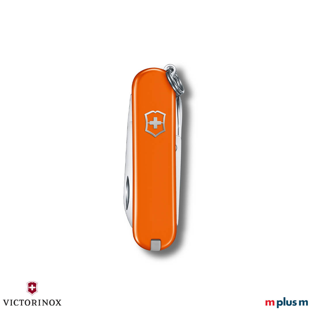 Kleines Schweizer Taschenmesser 'Classic SD Colors' in Orange