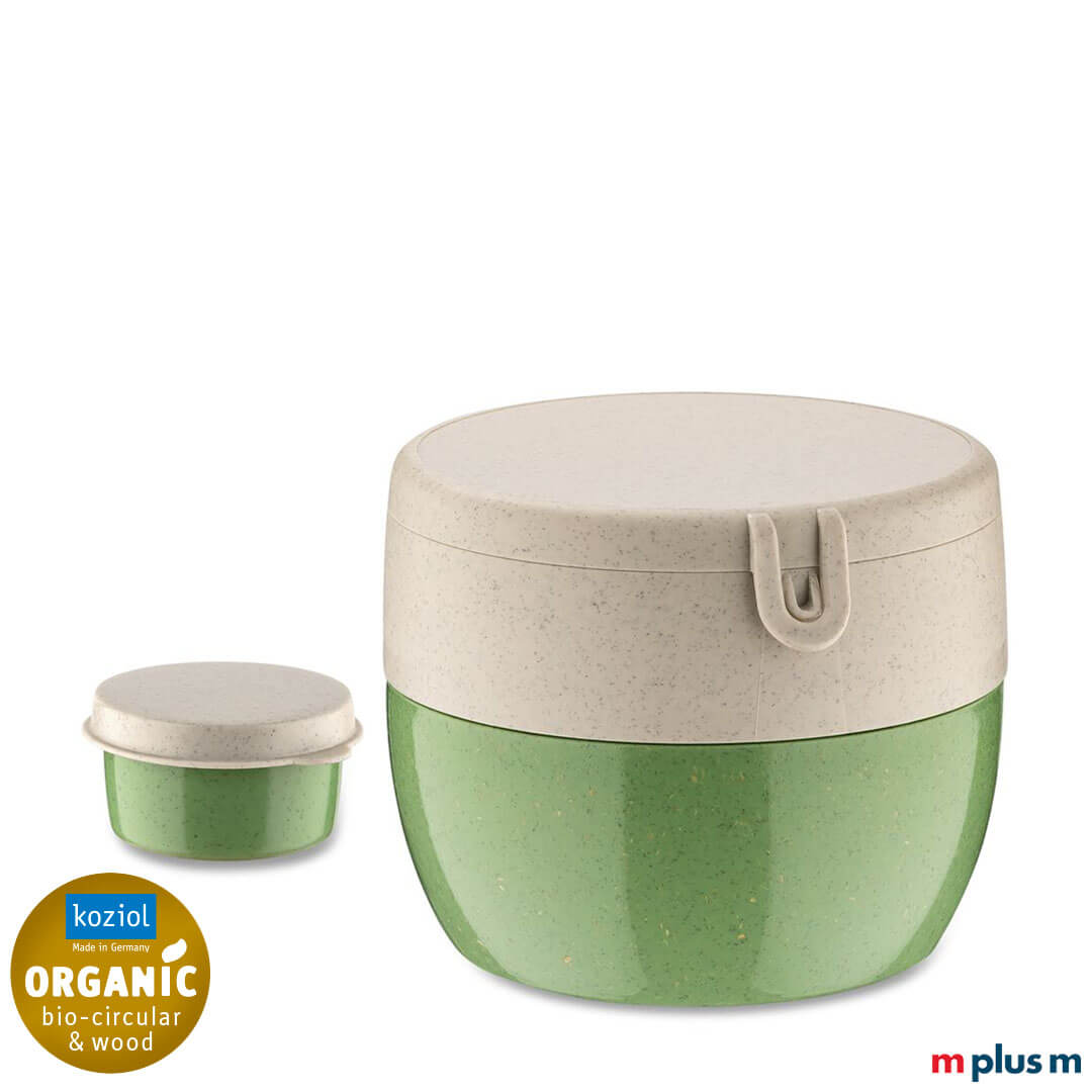 Koziol Bentobox M Bio Circular Lunchbox in der Farbe Grün/Nature Leaf Green